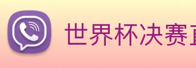 世界杯决赛直播入口 Logo